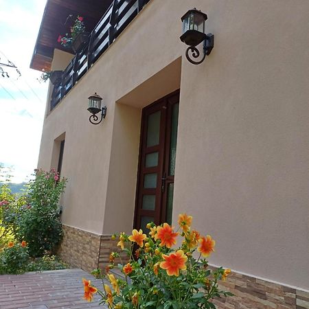 Casa Radu Apartamento Novaci-Străini Exterior foto