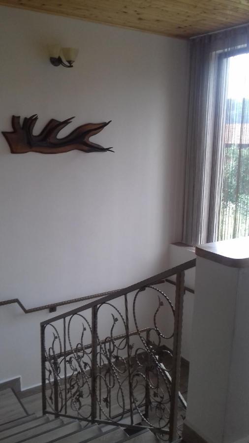 Casa Radu Apartamento Novaci-Străini Exterior foto
