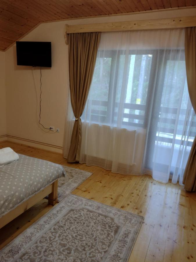 Casa Radu Apartamento Novaci-Străini Exterior foto