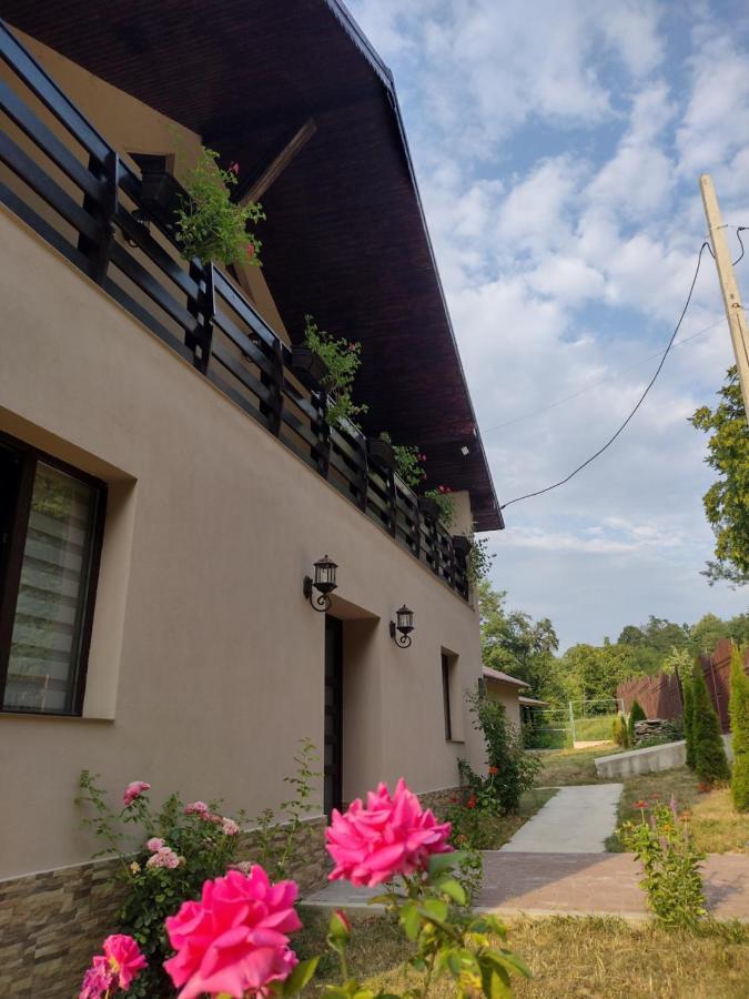 Casa Radu Apartamento Novaci-Străini Exterior foto