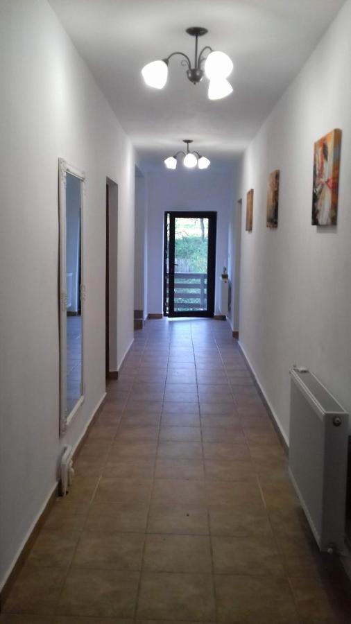 Casa Radu Apartamento Novaci-Străini Exterior foto