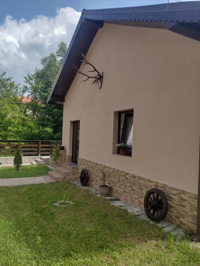 Casa Radu Apartamento Novaci-Străini Exterior foto