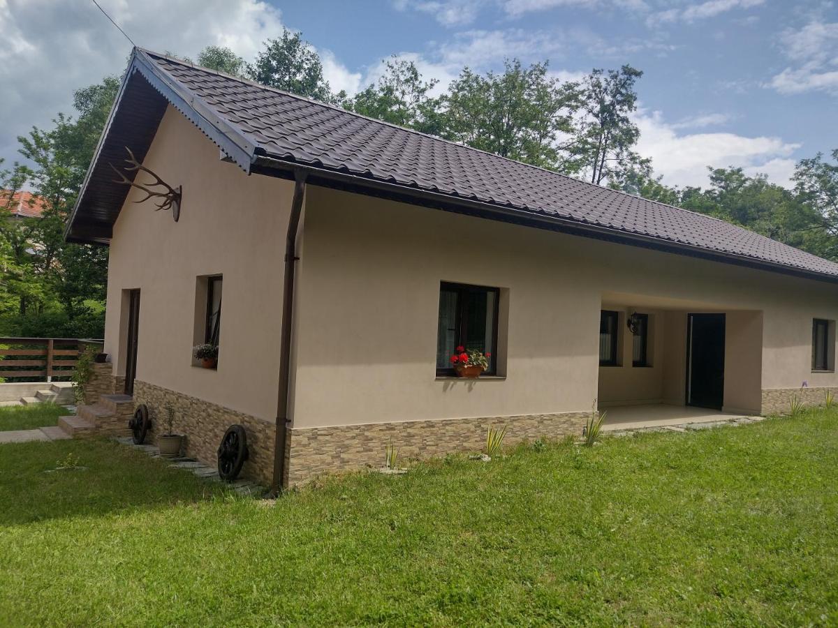Casa Radu Apartamento Novaci-Străini Exterior foto