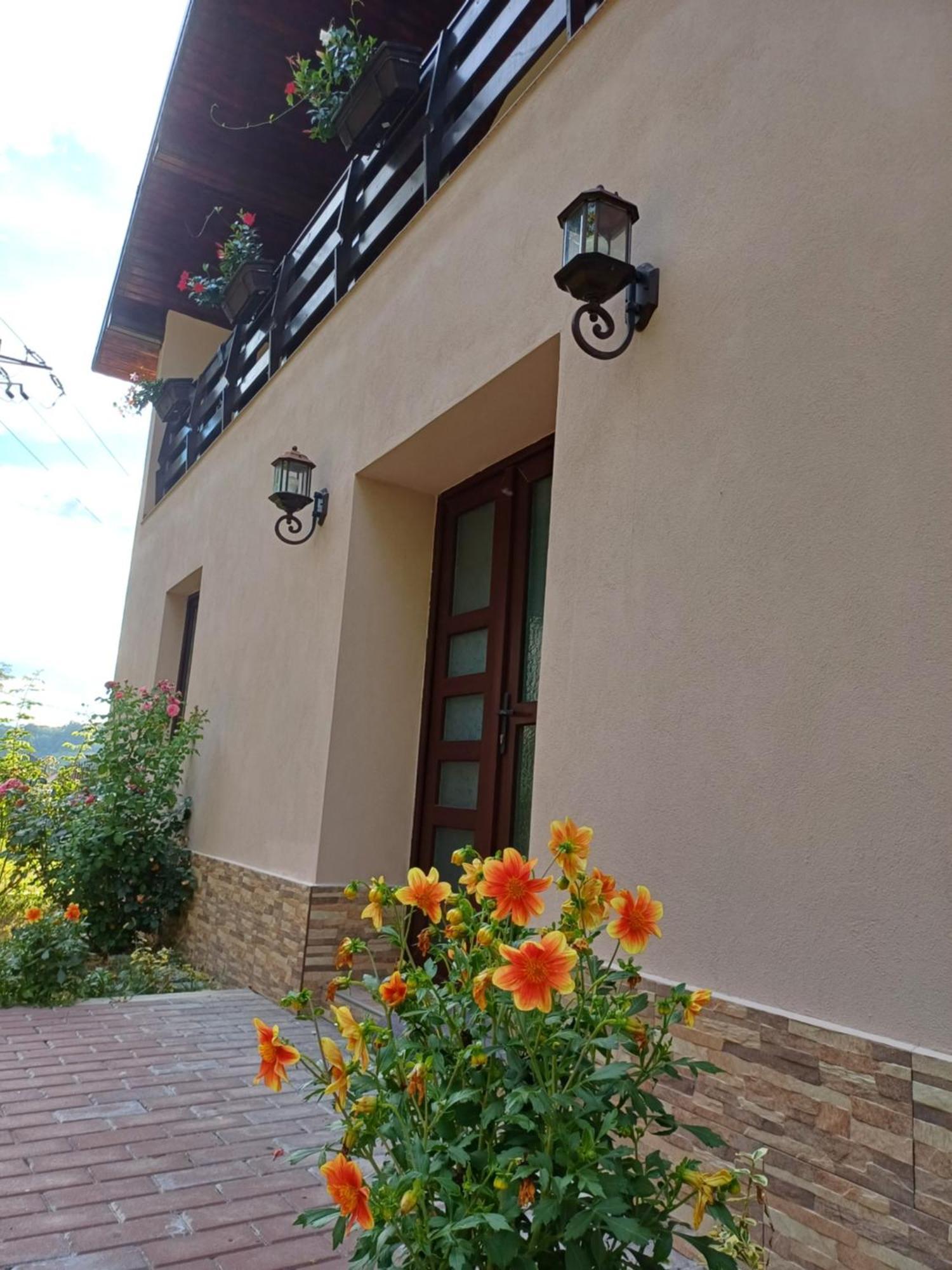 Casa Radu Apartamento Novaci-Străini Exterior foto