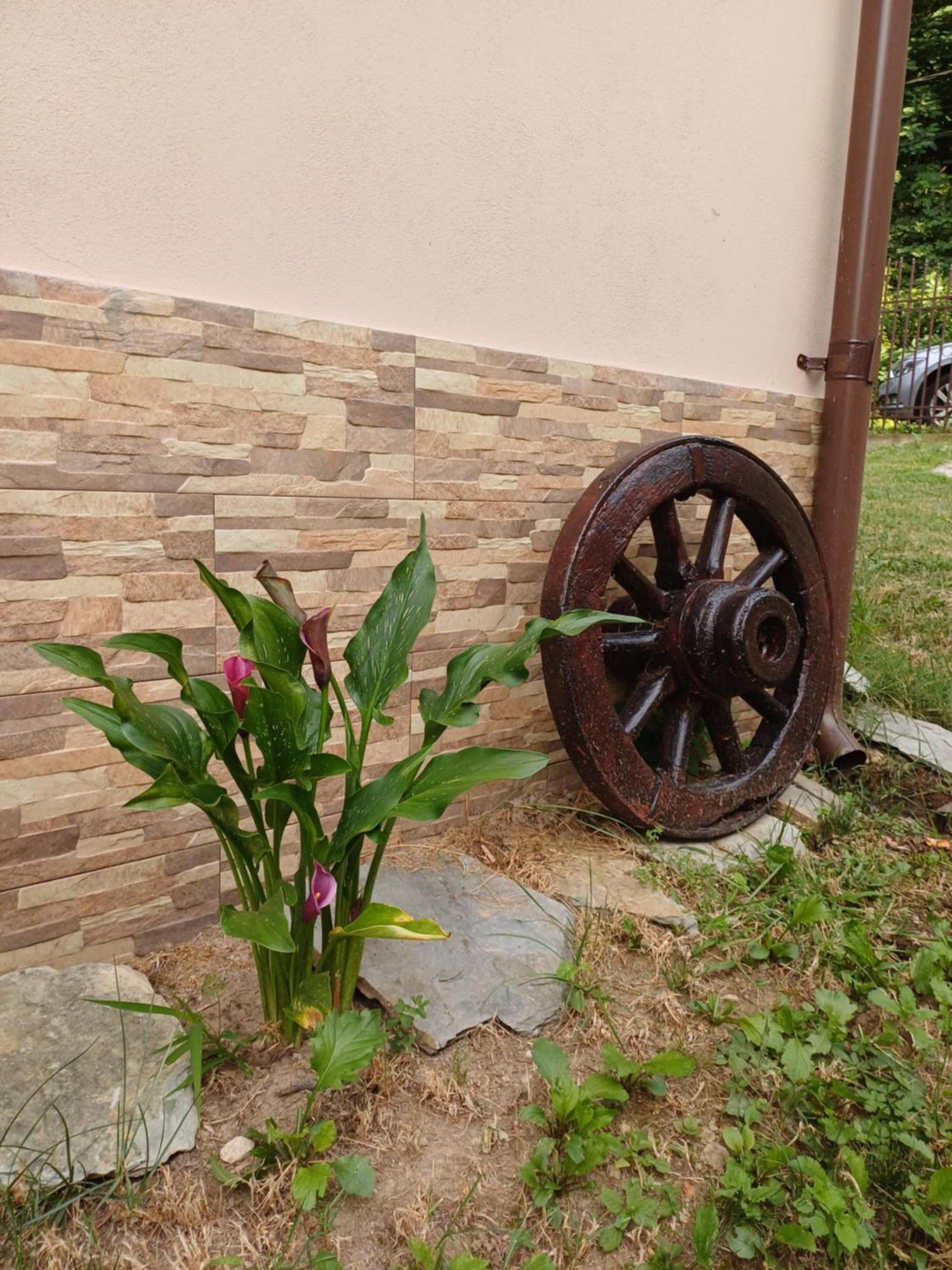 Casa Radu Apartamento Novaci-Străini Exterior foto