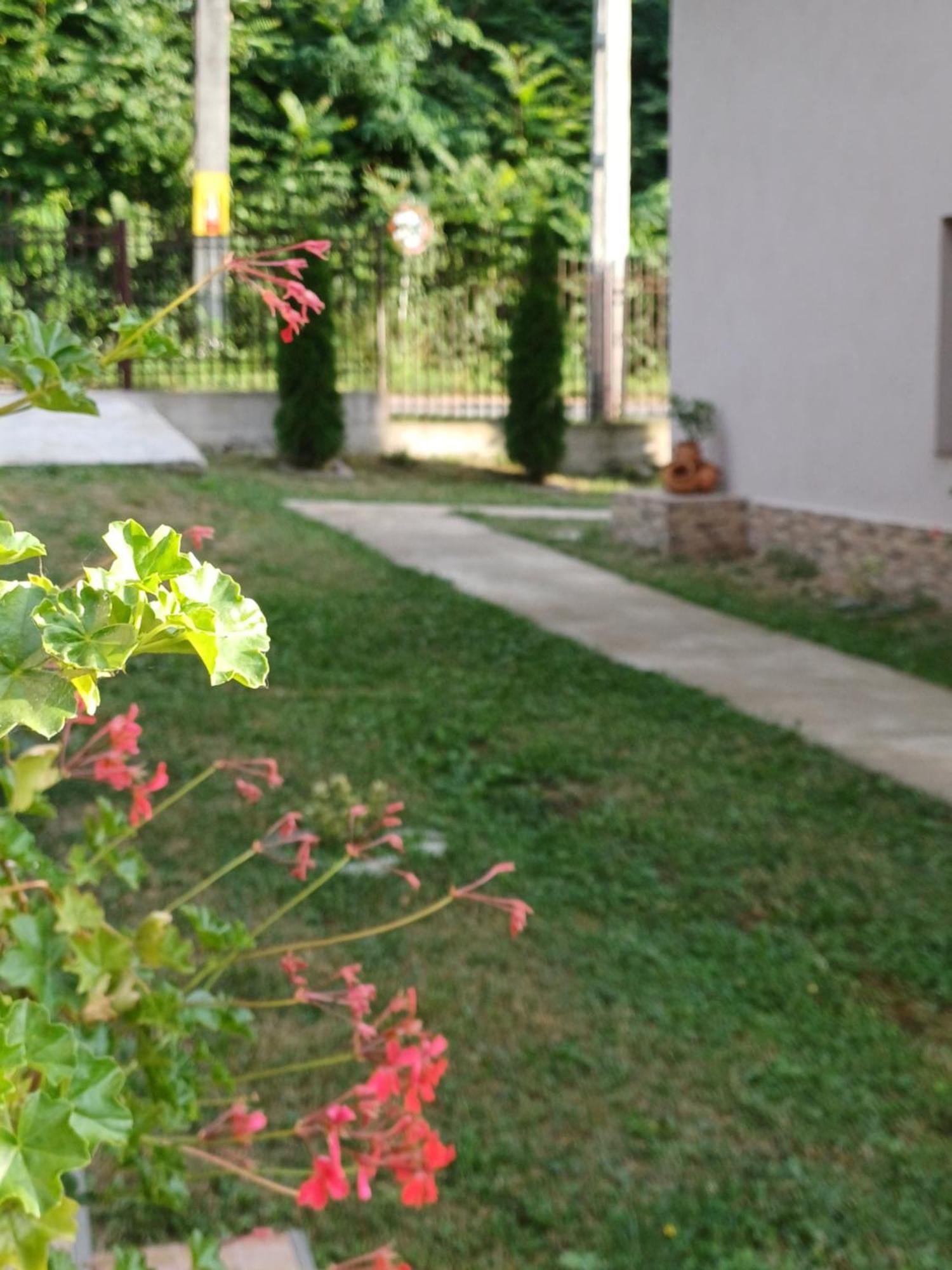 Casa Radu Apartamento Novaci-Străini Exterior foto