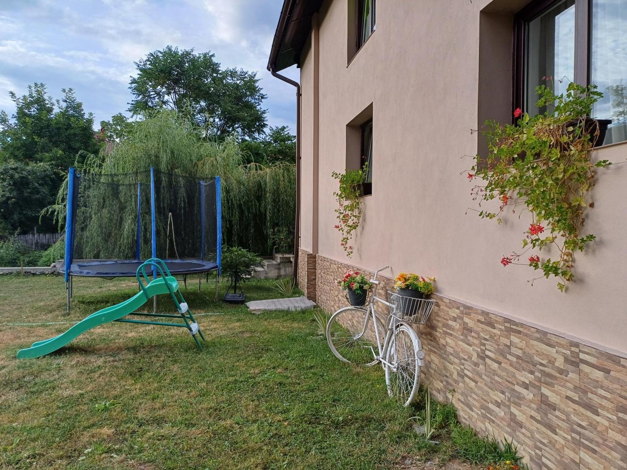 Casa Radu Apartamento Novaci-Străini Exterior foto
