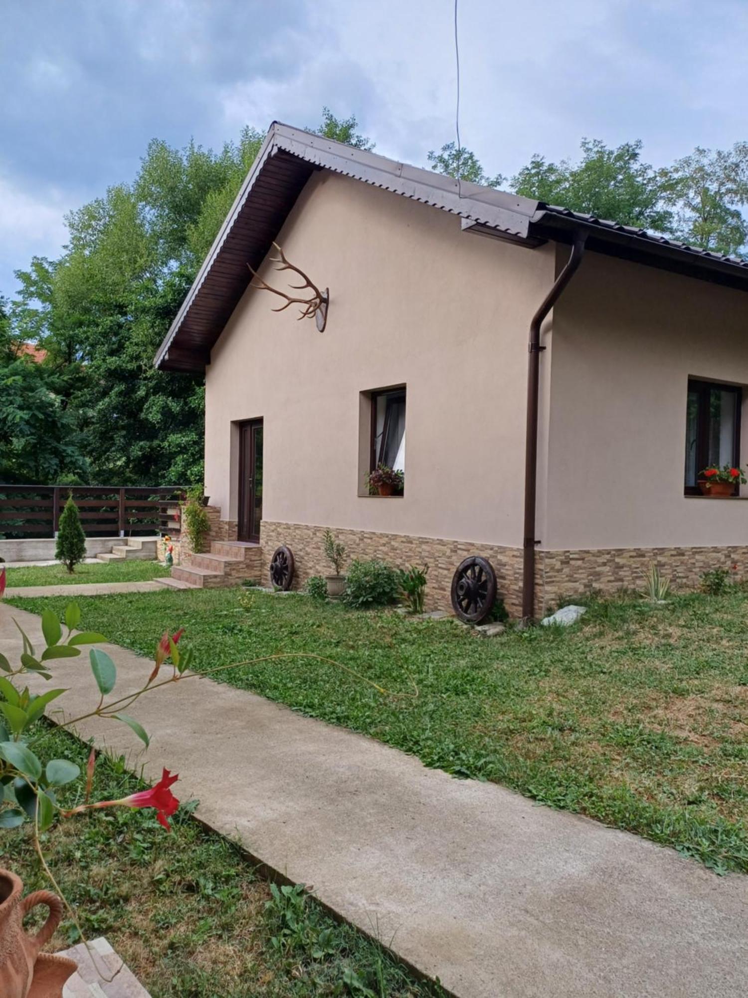 Casa Radu Apartamento Novaci-Străini Exterior foto