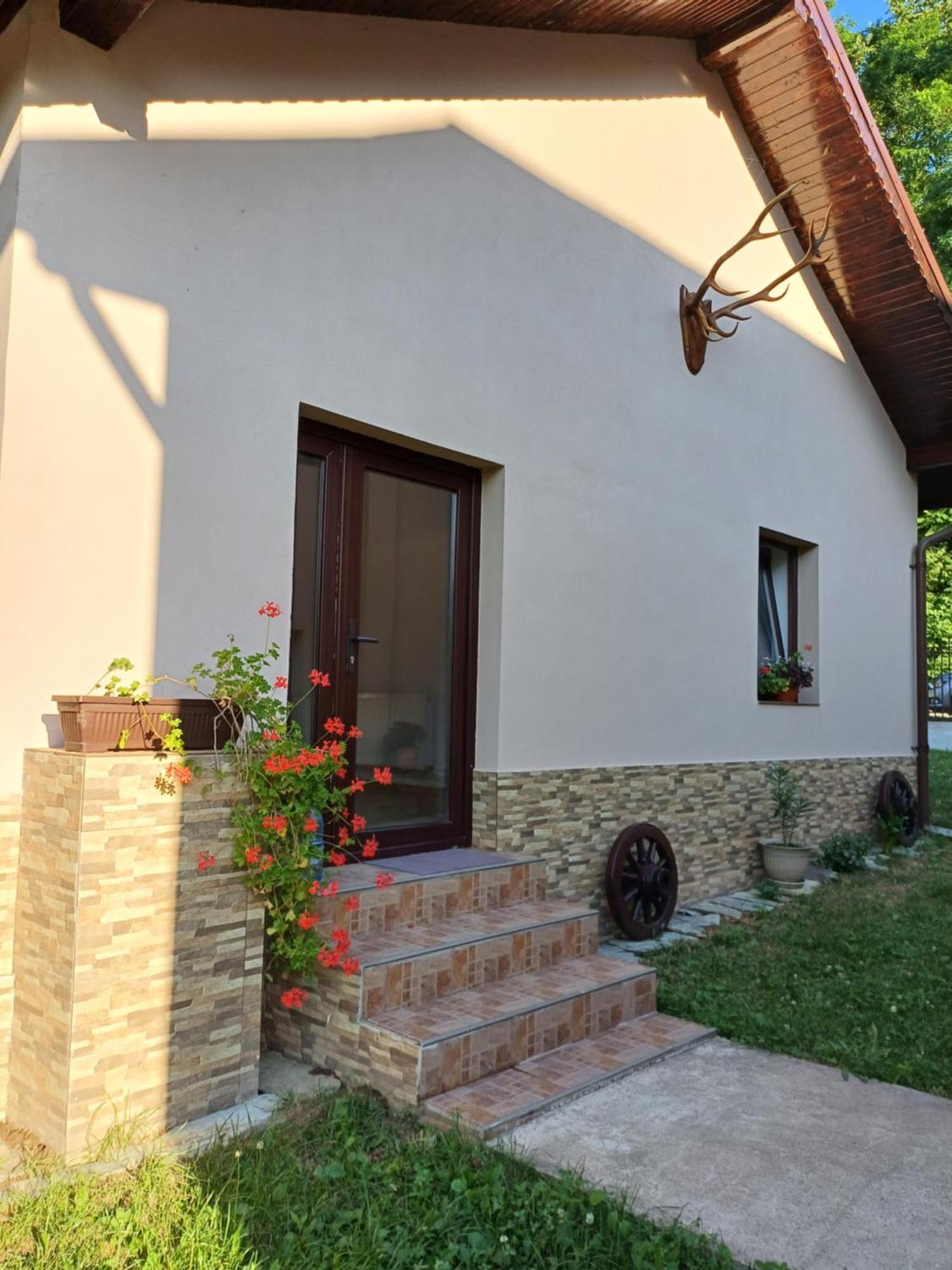 Casa Radu Apartamento Novaci-Străini Exterior foto