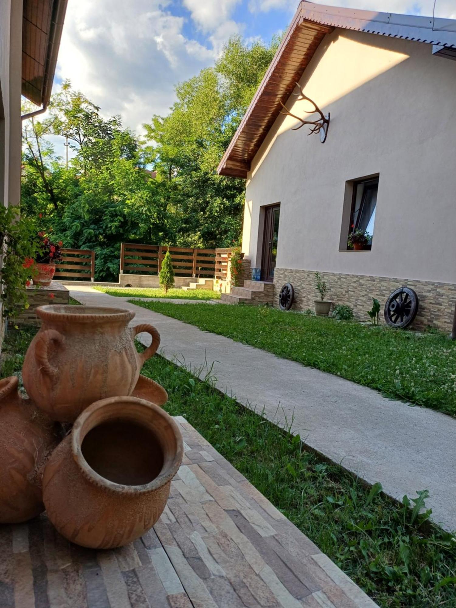Casa Radu Apartamento Novaci-Străini Exterior foto