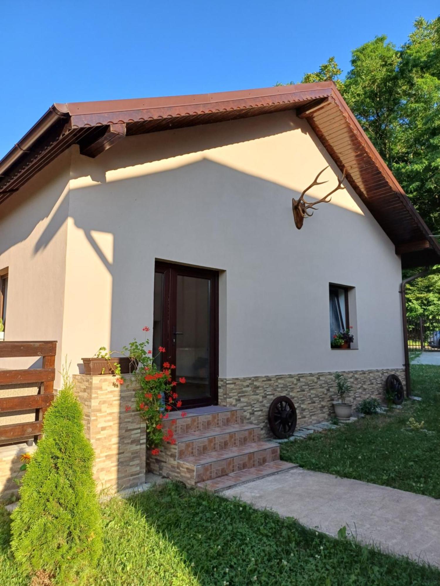 Casa Radu Apartamento Novaci-Străini Exterior foto