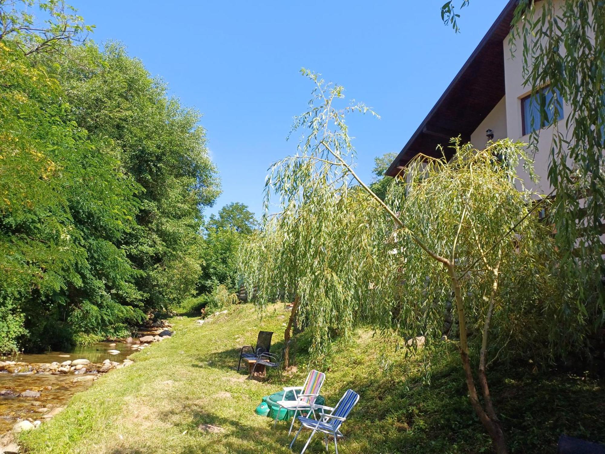 Casa Radu Apartamento Novaci-Străini Exterior foto