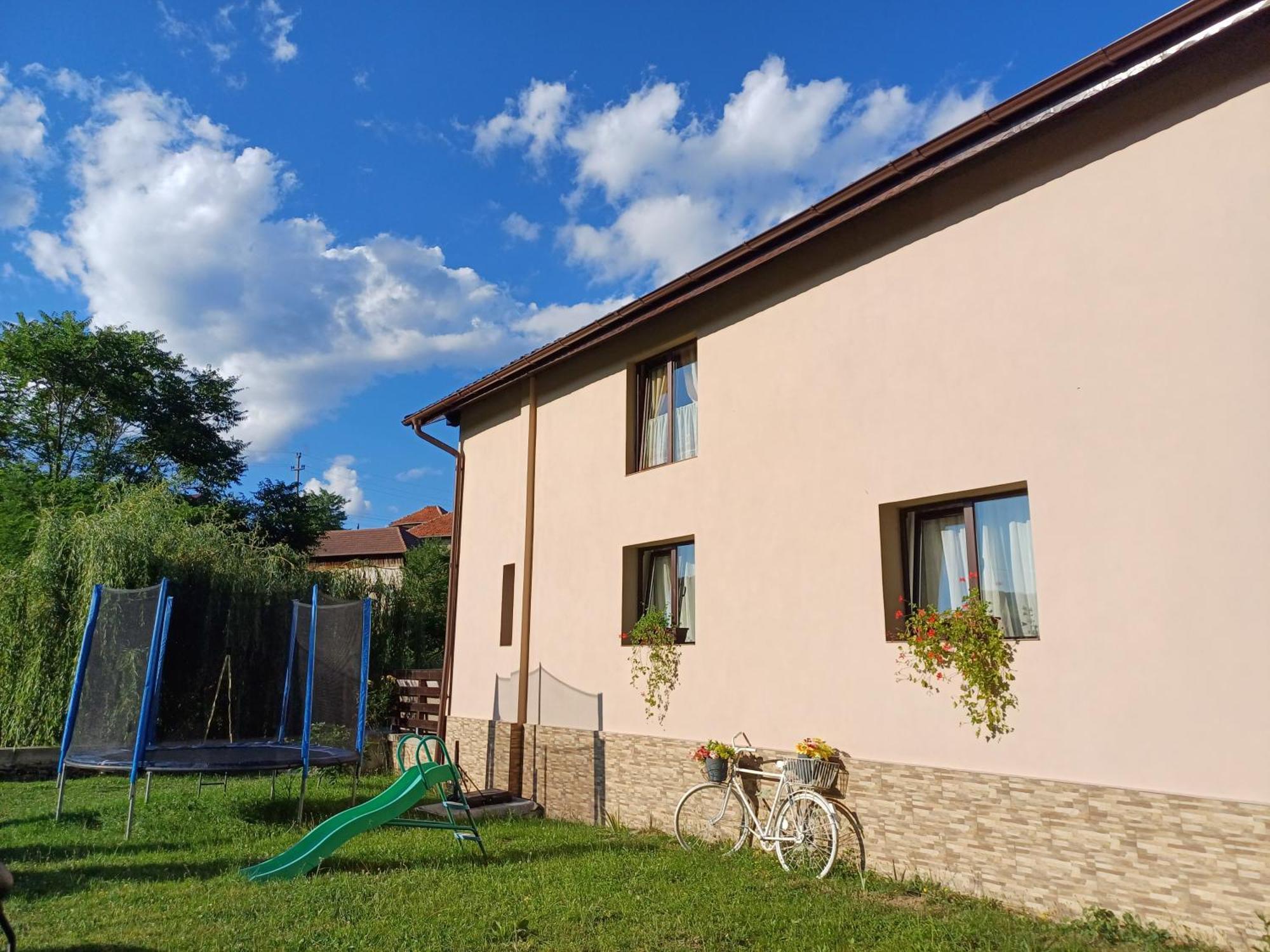 Casa Radu Apartamento Novaci-Străini Exterior foto